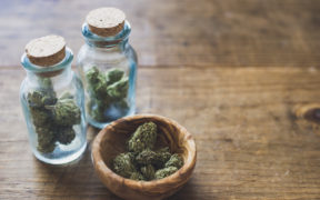 what is medical marijuana