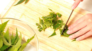 chopping raw cannabis leaves for salad
