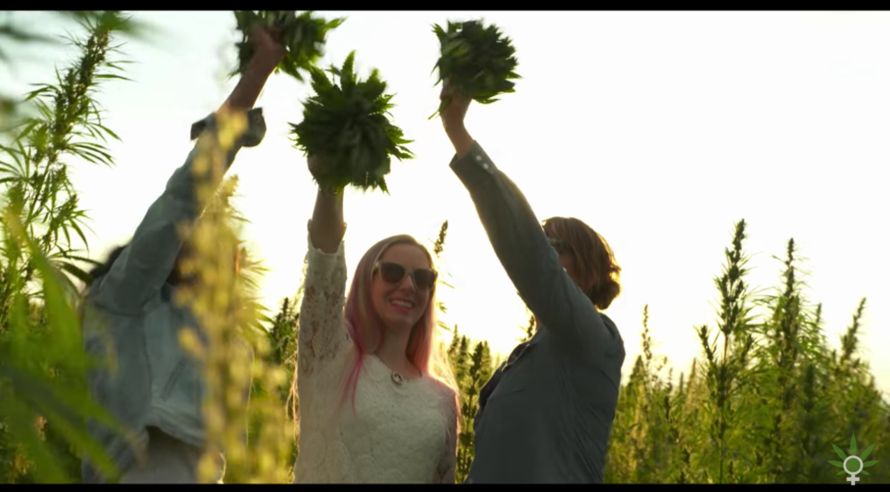 women of weed film 1